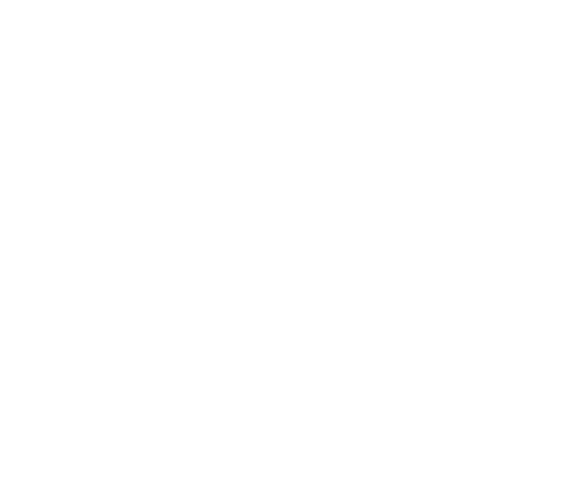 Iri • Sparkle • 1xLP – Black Screen Records