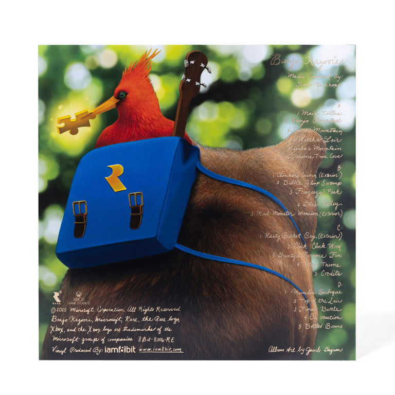 BanjoKazooie_Vinyl_Whitebox_0006.jpg