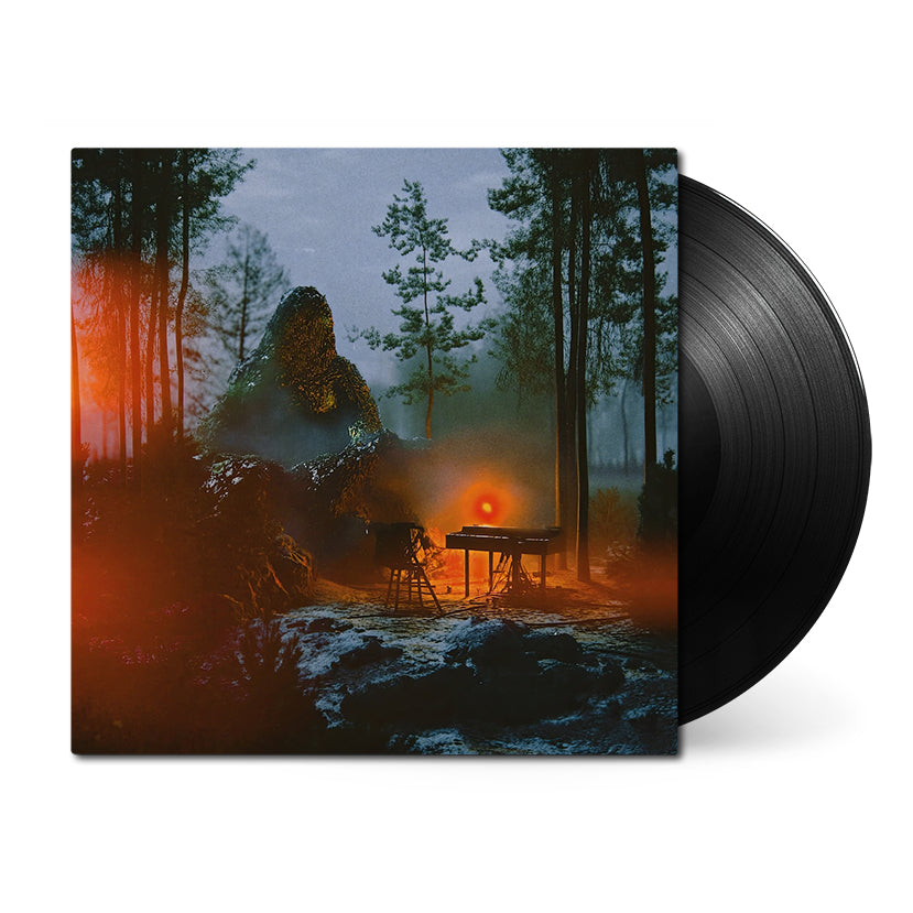 Bialystocks quicksand LP レコード Quicksand • Bialystocks • 1xLP Vinyl – Black Screen Records