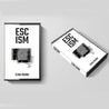 front and side view of the escism cassette tape