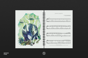 HollowKnightPiano PerformerEdition SheetMusicBook Inside