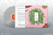 back of Django by Chip Tanaka on vinyl