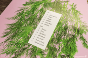 Django Tracklist